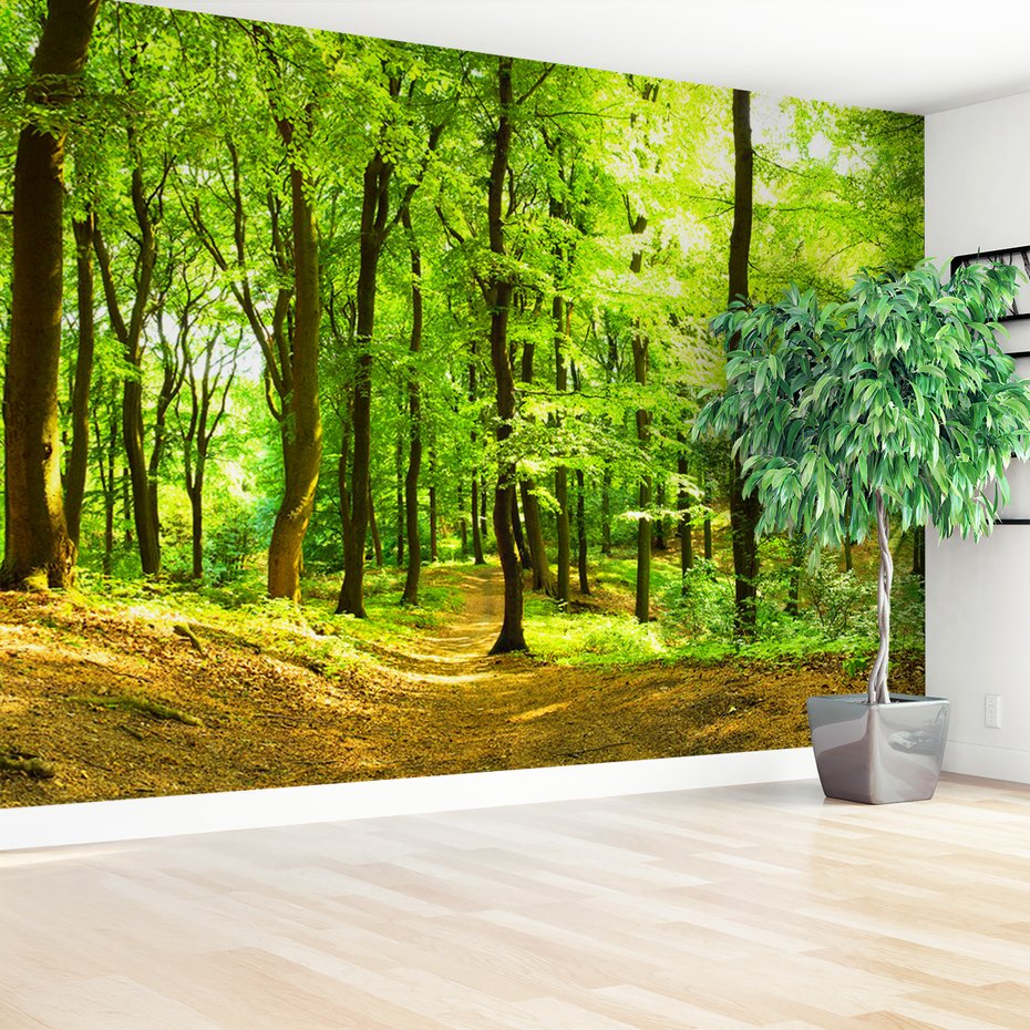 Fototapeta - las, drzewa, natura