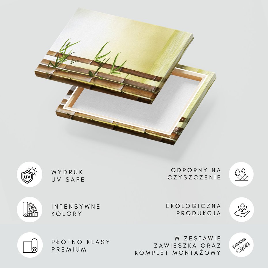 Obraz na płótnie - bambus, liście, woda