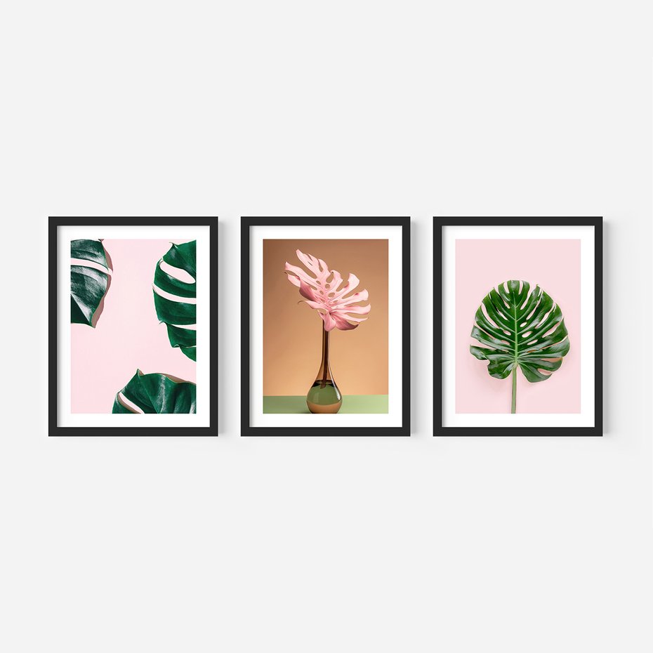 Zestaw obrazy w ramie, plakaty - monstera, liście, roślina - rama czarna