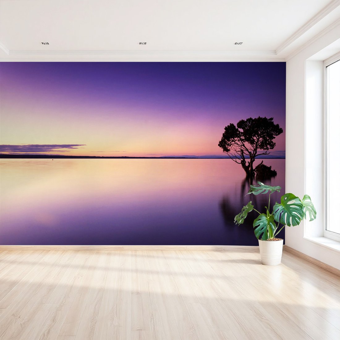 Fototapeta - zachód słońca, woda, drzewo