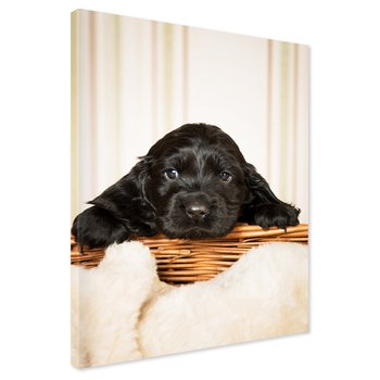 Obraz na płótnie - szczeniak, pies, słodki