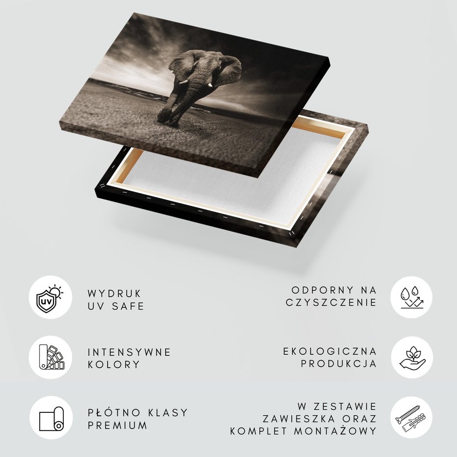 Obraz na płótnie - słoń, plaża, morze