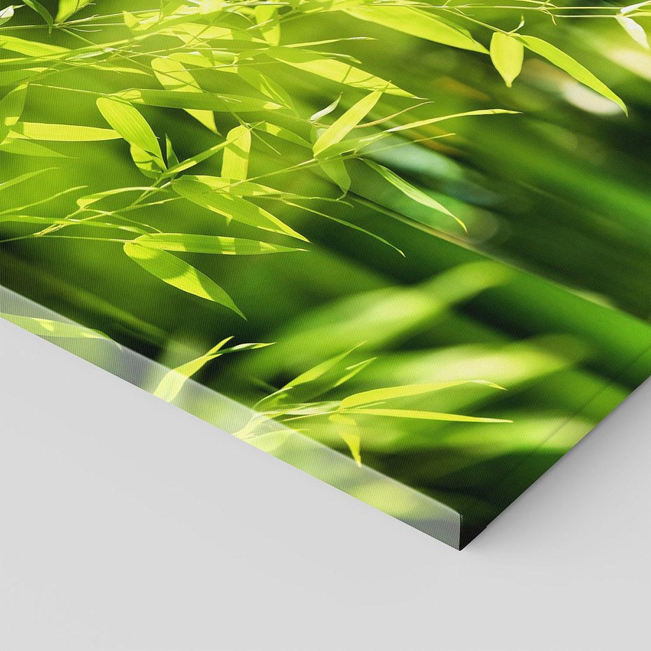 Obraz na płótnie - bambus, liście, zieleń