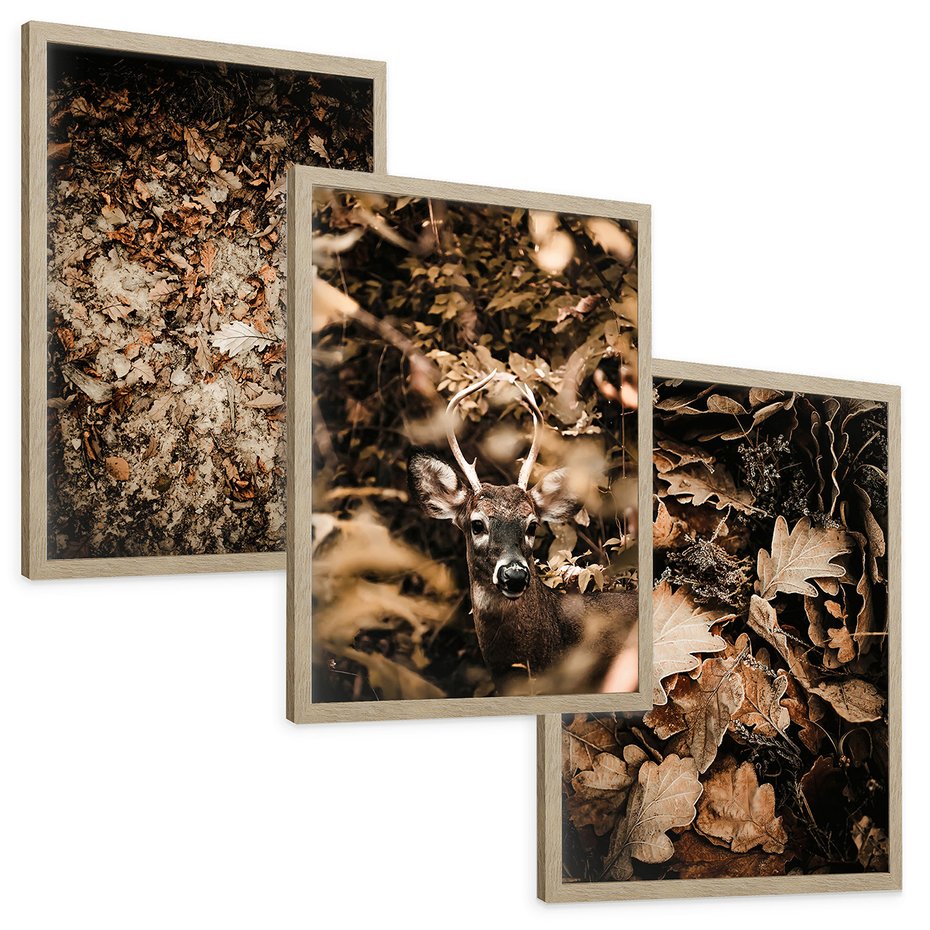 Zestaw obrazy w ramie, plakaty - liście,jeleń,las - rama drewno