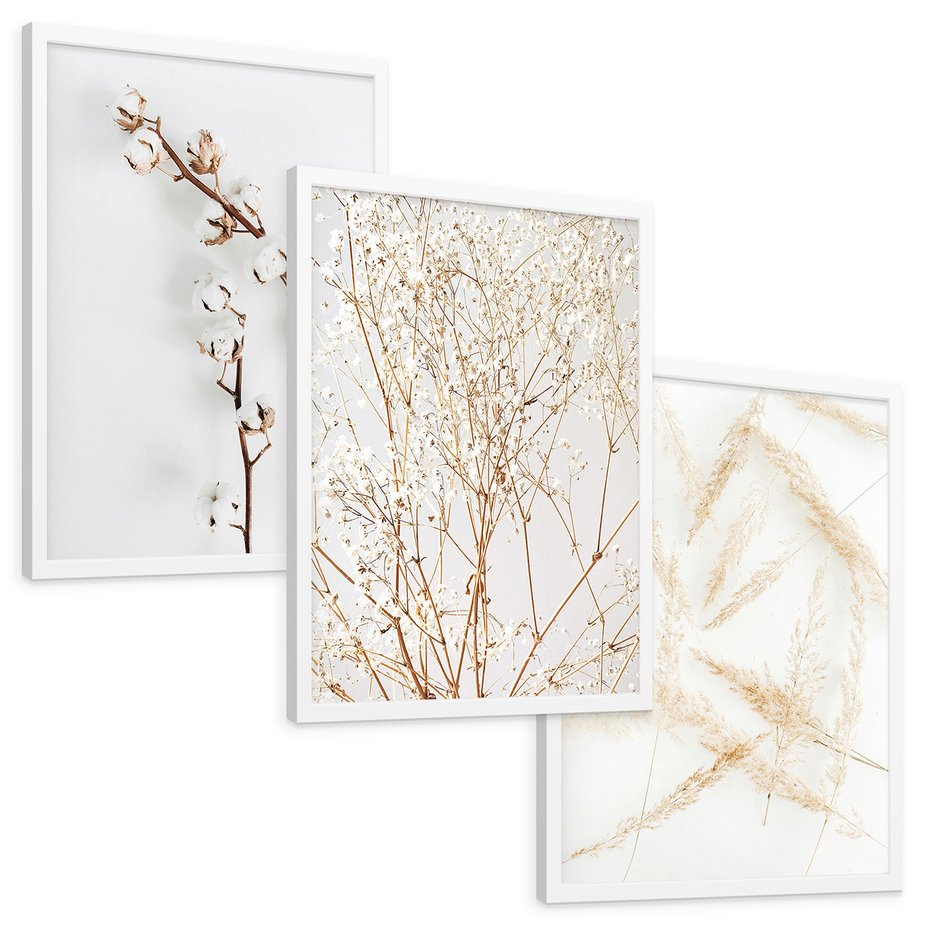 Zestaw obrazy w ramie, plakaty - kwiaty, gałązki, minimalizm - rama biała