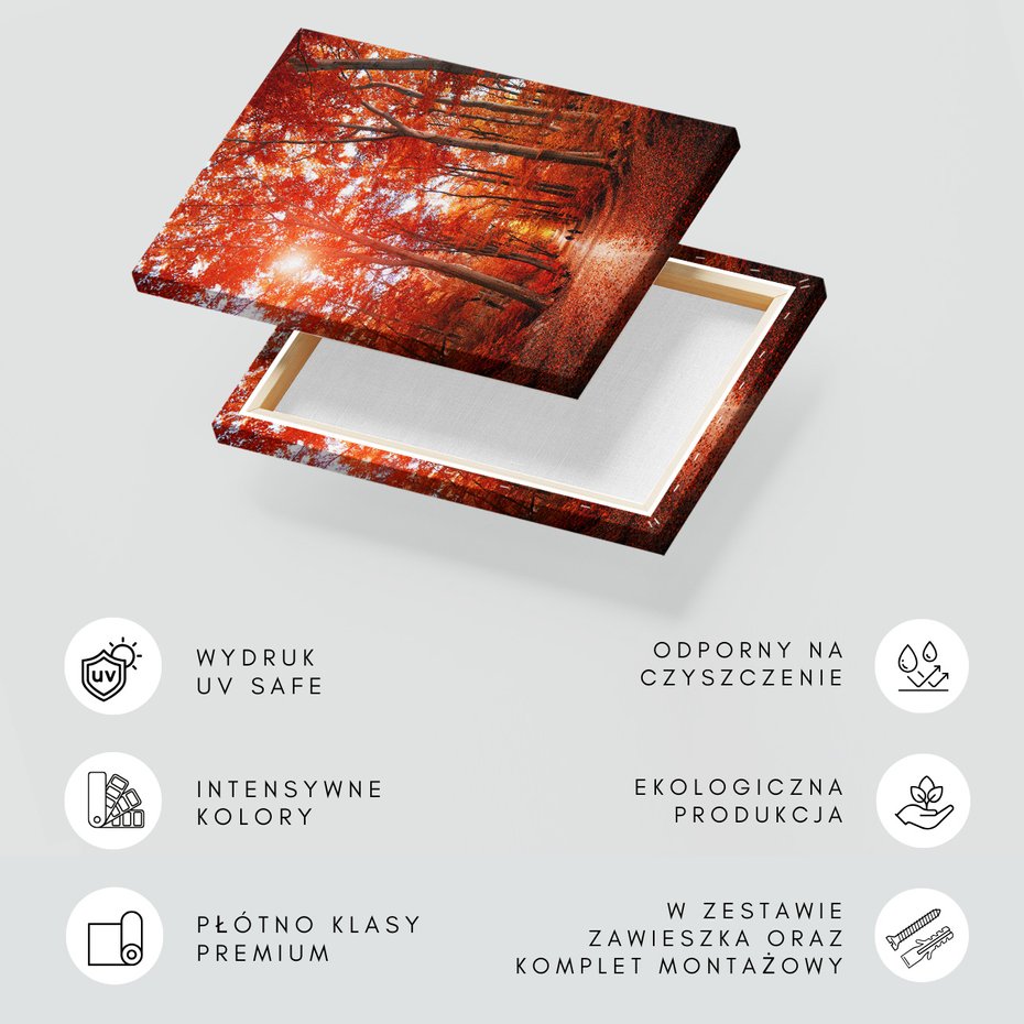 Obraz na płótnie - las, jesień, drzewa