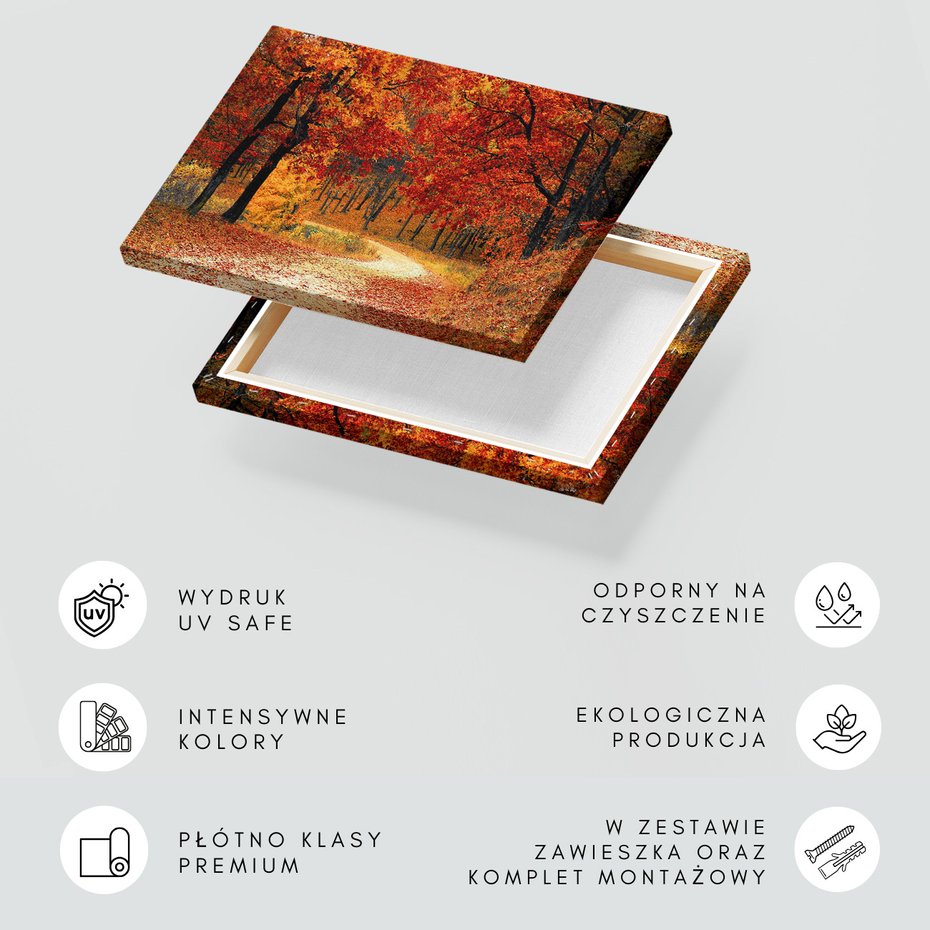 Obraz na płótnie - jesień, liście, las