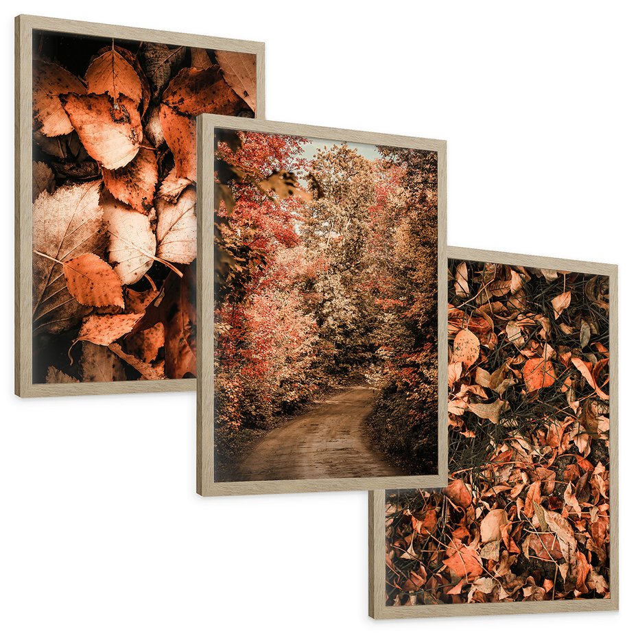 Zestaw obrazy w ramie, plakaty - liście,jesień,drzewa - rama drewno