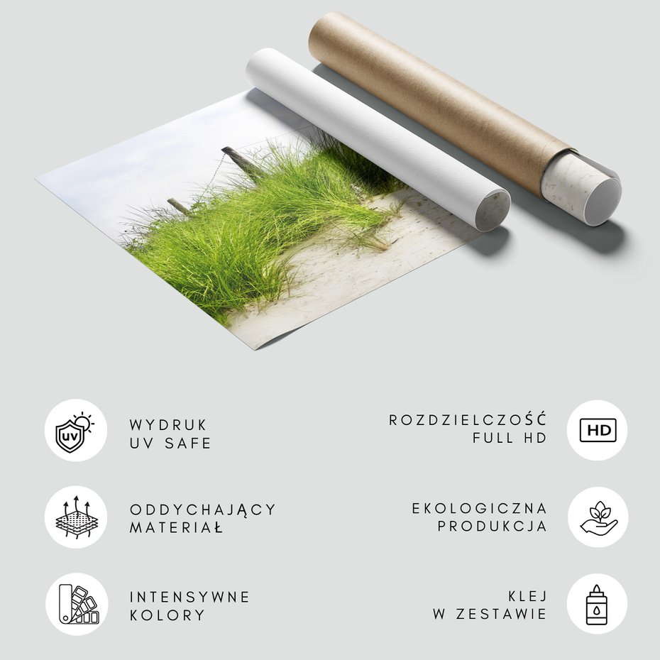 Fototapeta - wydma, trawa, plaża