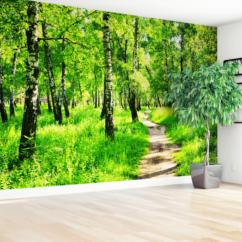 Fototapeta - las, ścieżka, natura