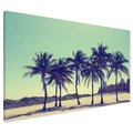 Obraz na płótnie - palmy, plaża, lato