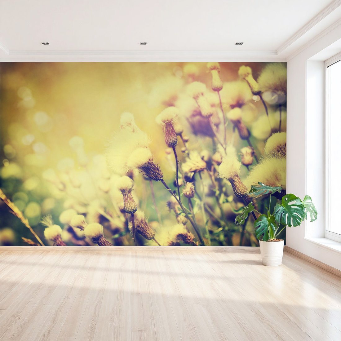 Fototapeta - kwiaty, natura, lato