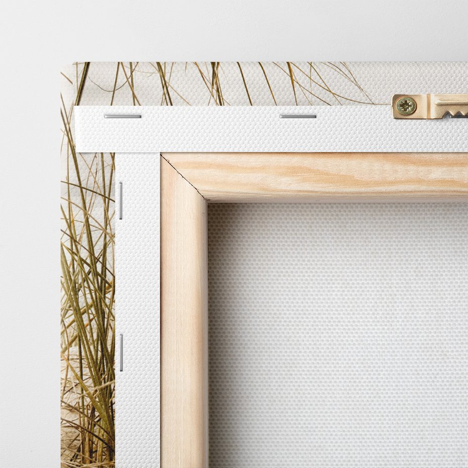 Obraz na płótnie - plaża, trawa, morze