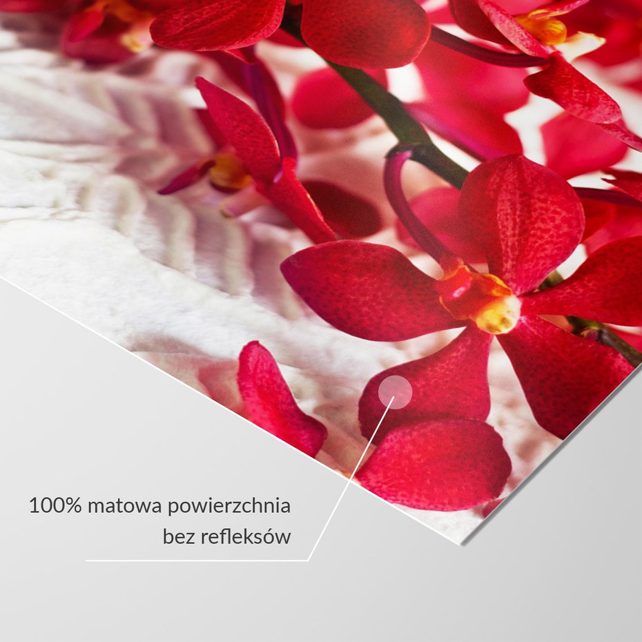 Fototapeta - kwiaty, czerwone, orchidee