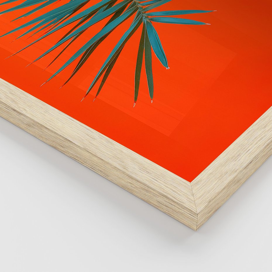 Zestaw obrazy w ramie, plakaty - liście, rośliny, kolory - rama drewno