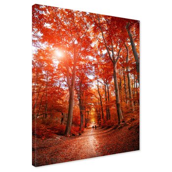 Obraz na płótnie - las, jesień, drzewa