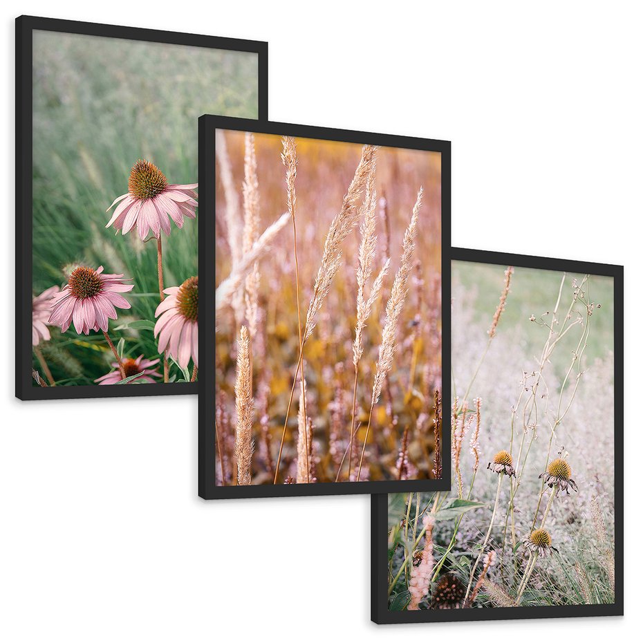 Zestaw obrazy w ramie, plakaty - kwiaty, trawa, rośliny - rama czarna