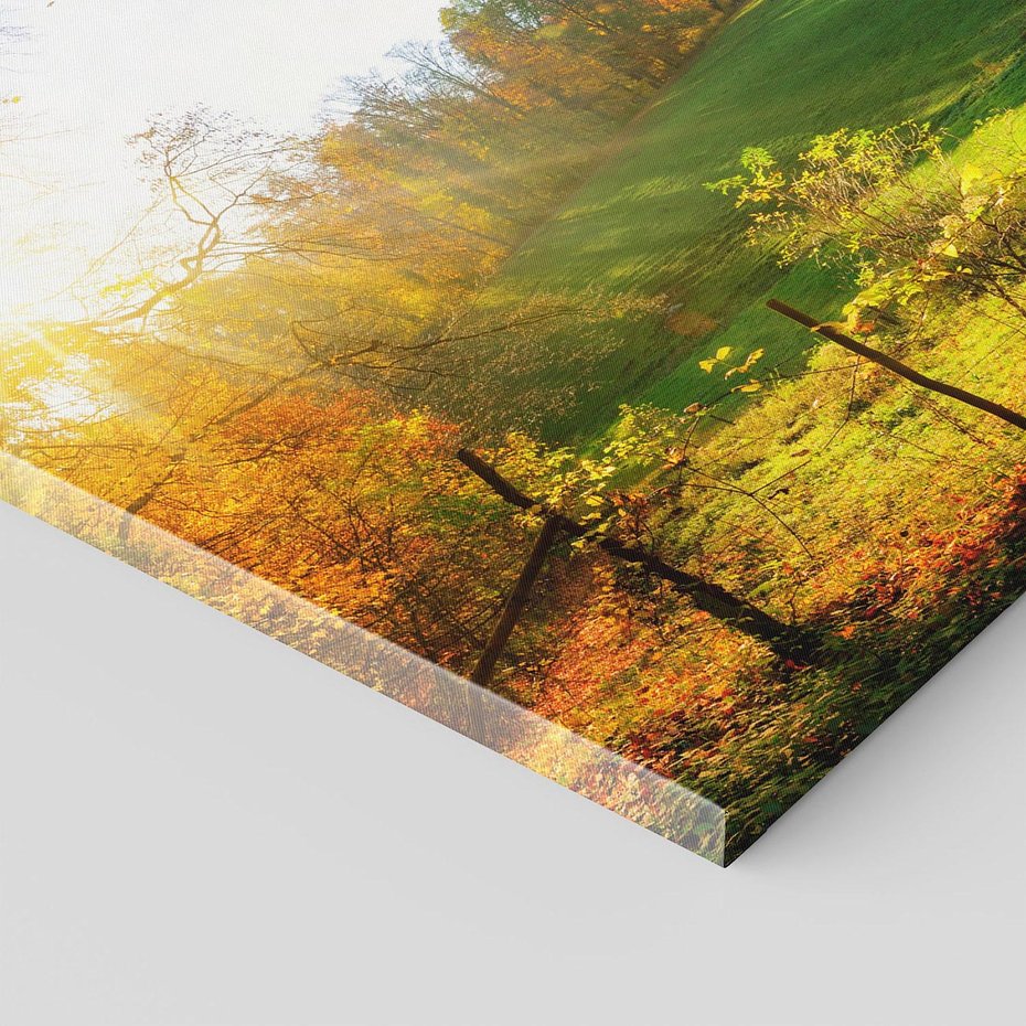 Obraz na płótnie - krajobraz, jesień, drzewa