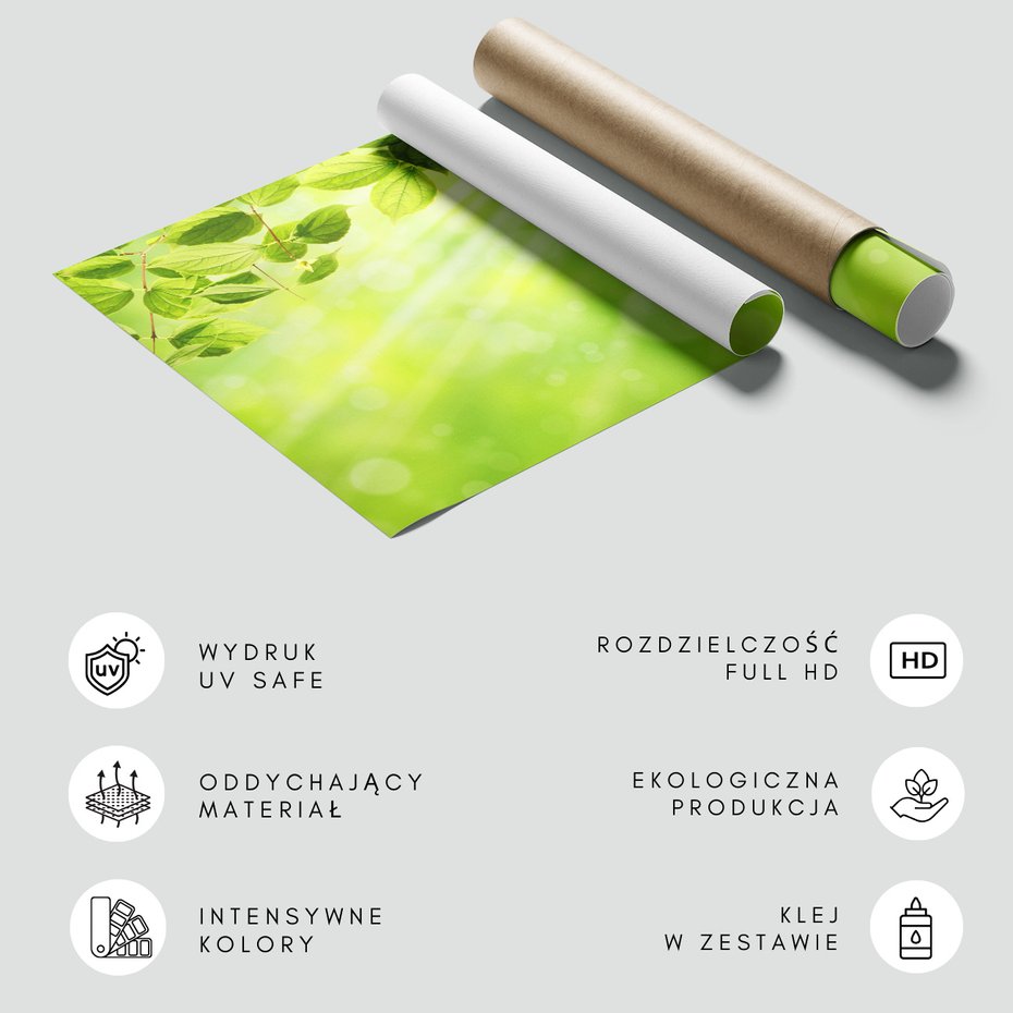 Fototapeta - liście, światło, natura