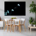 Obraz na płótnie - abstrakcja, dym, kosmos