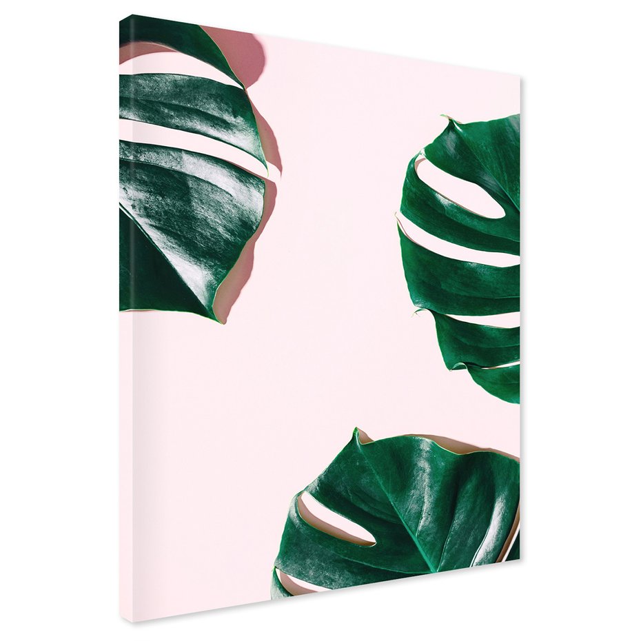 Obraz na płótnie - liście, monstera, roślina