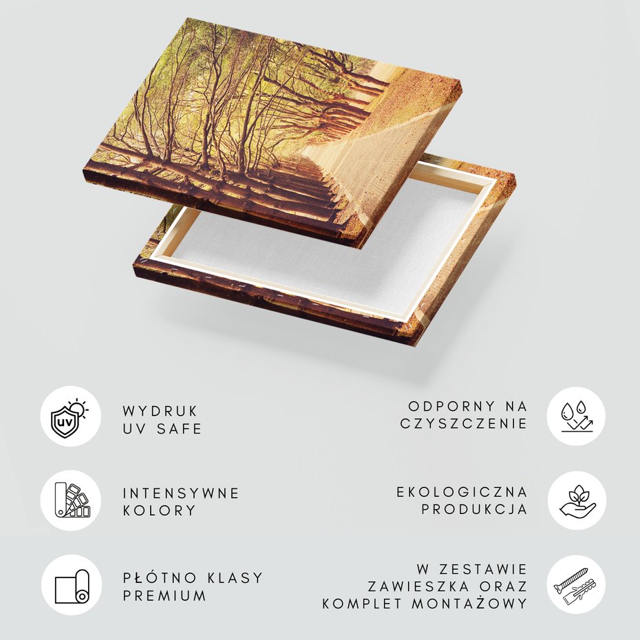 Obraz na płótnie - drzewa, ścieżka, aleja