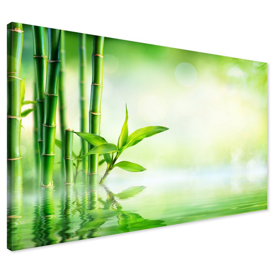 Obraz na płótnie - bambus, woda, liście