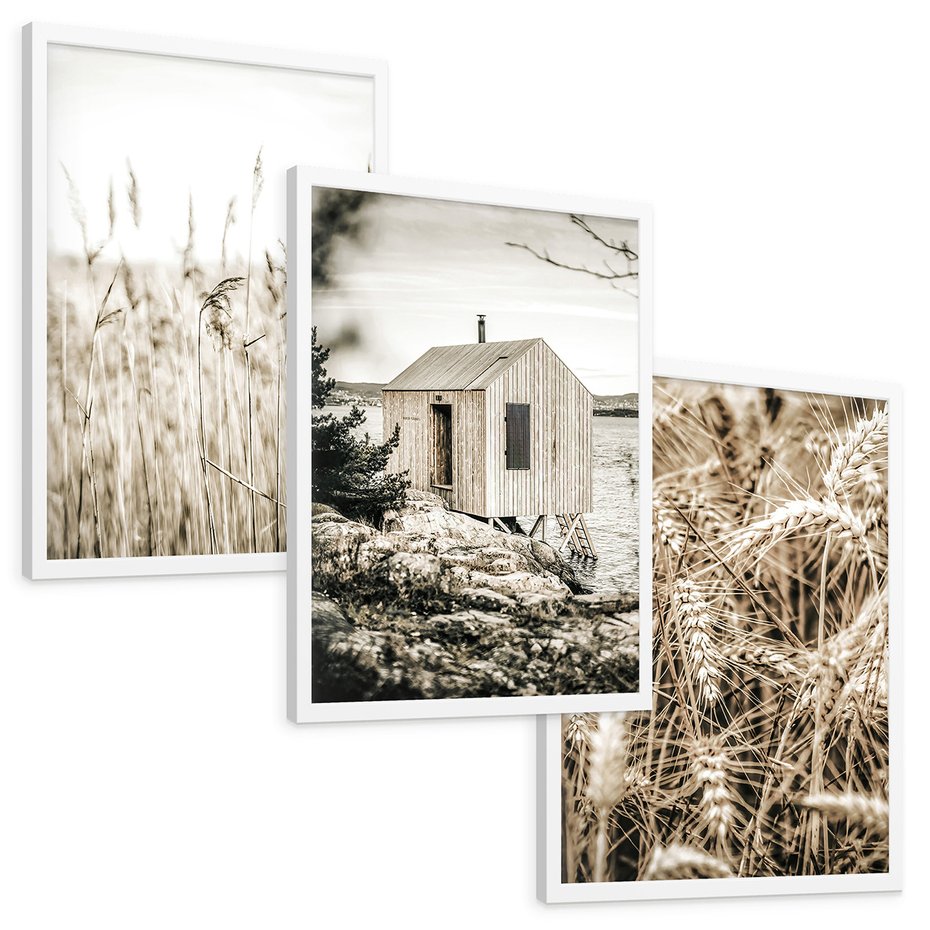 Zestaw obrazy w ramie, plakaty - natura, dom, rośliny - rama biała