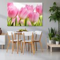 Obraz na płótnie - tulipany, kwiaty, różowe