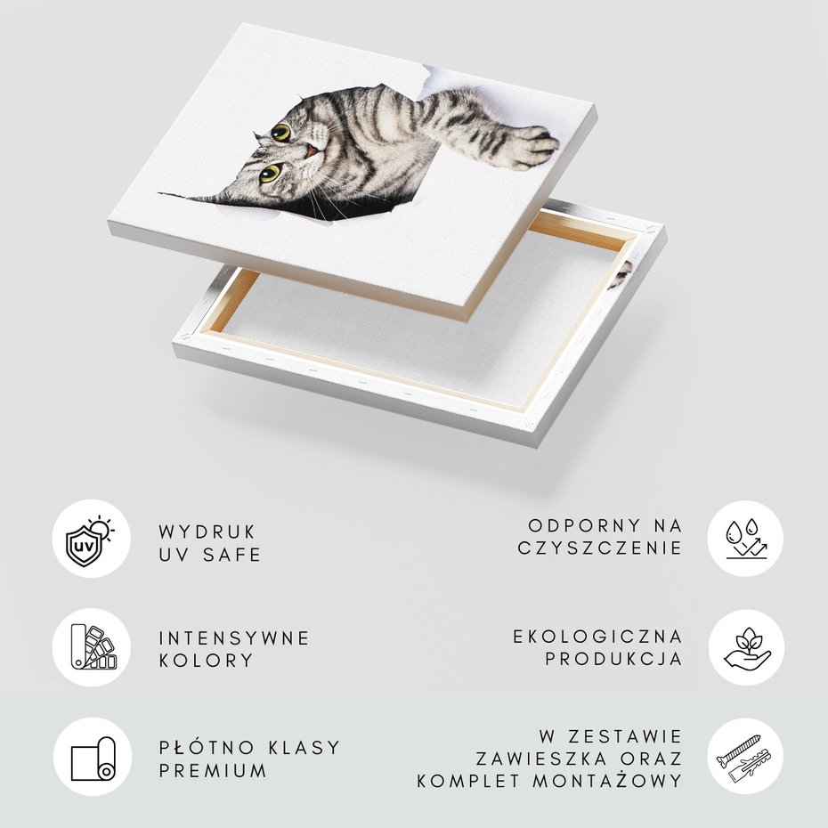 Obraz na płótnie - kot, zwierzę, portret
