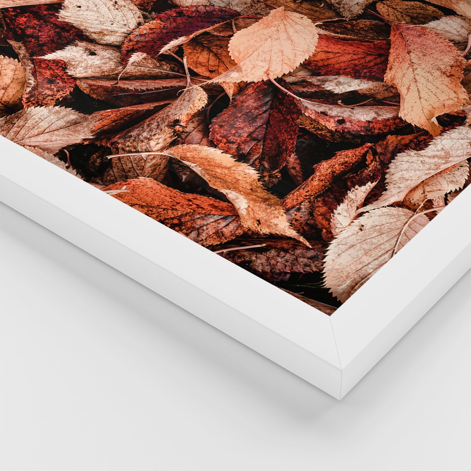 Zestaw obrazy w ramie, plakaty - liście,jesień,drzewa - rama biała