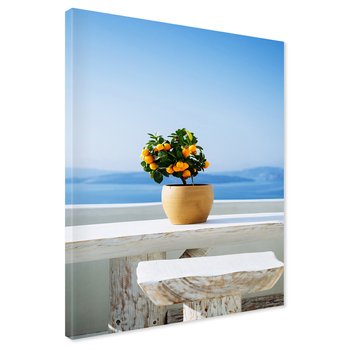 Obraz na płótnie - roślina, morze, niebo