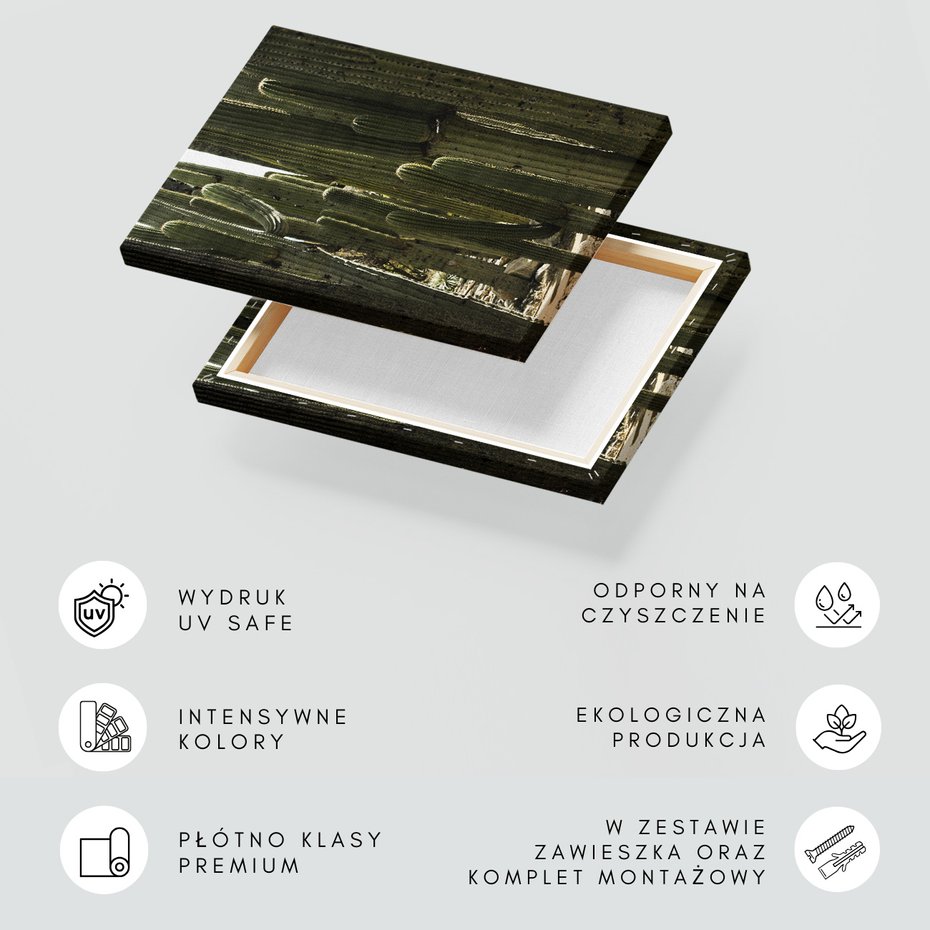 Obraz na płótnie - kaktusy, natura, pustynia