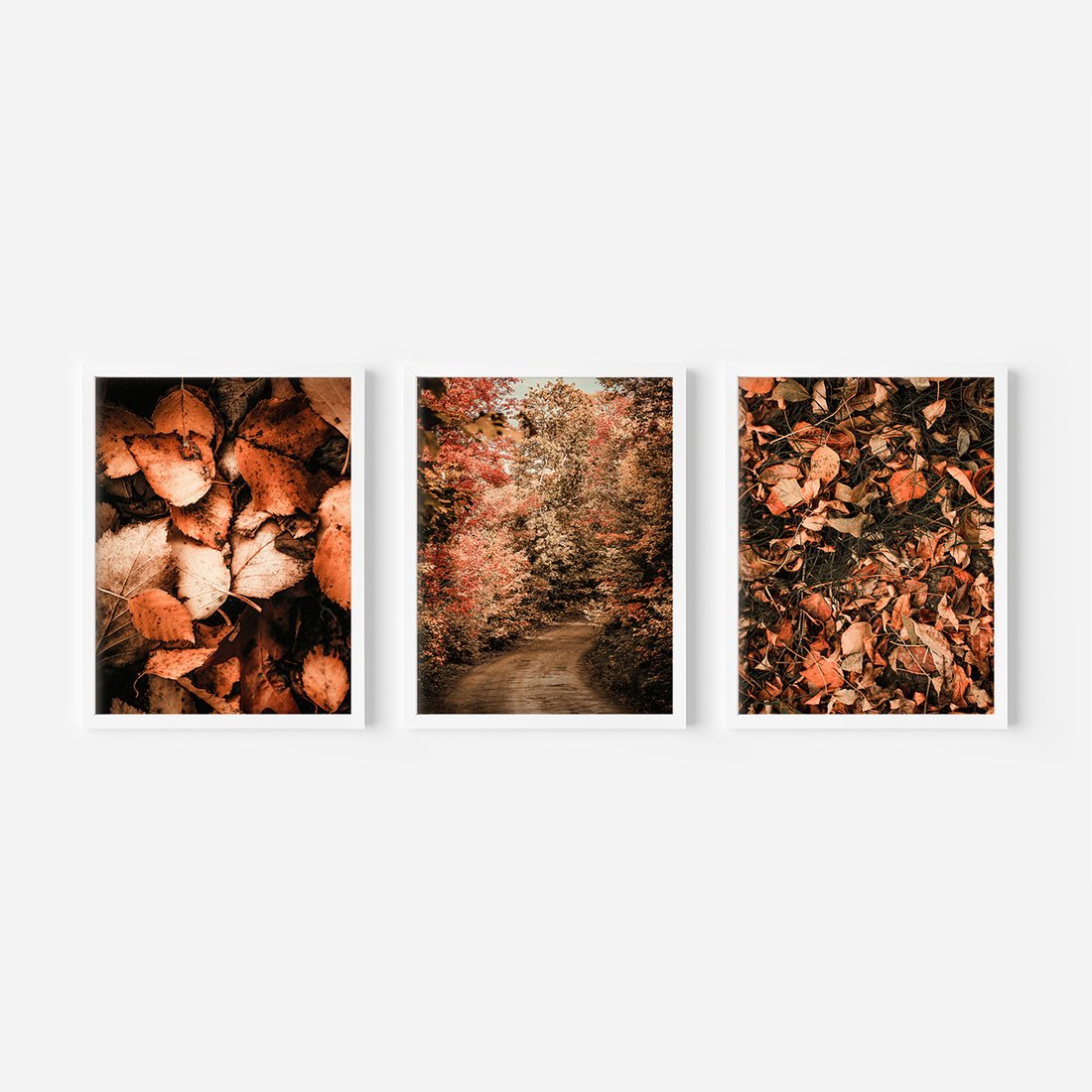 Zestaw obrazy w ramie, plakaty - liście,jesień,drzewa - rama biała
