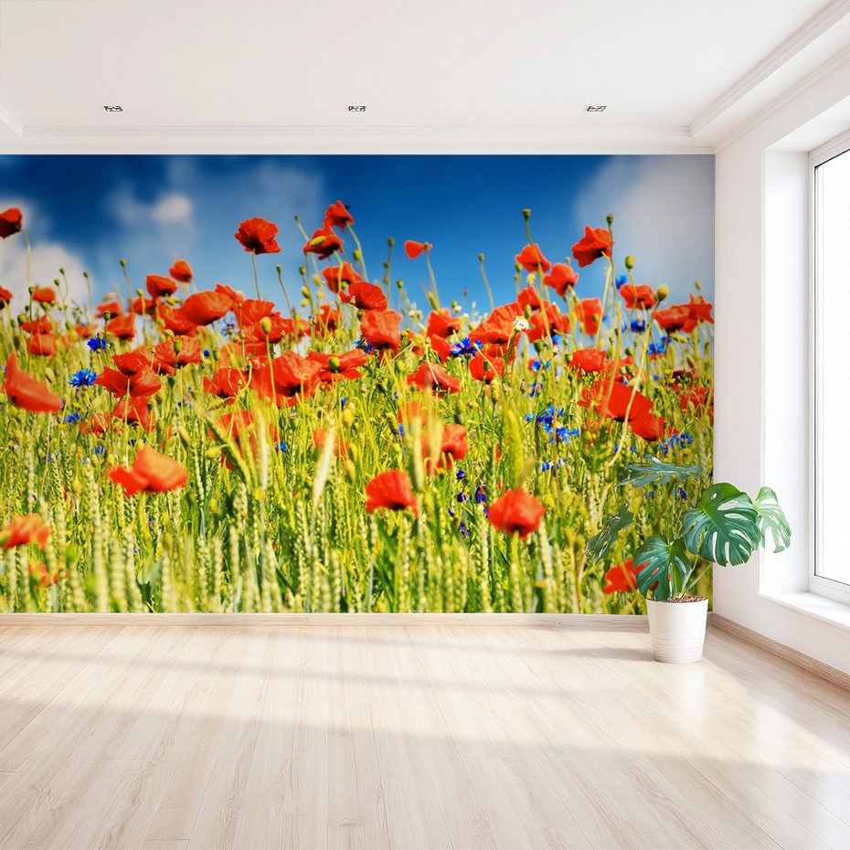 Fototapeta - maki, lato, kwiaty