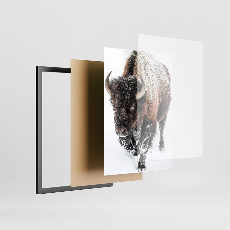 Zestaw obrazy w ramie, plakaty - bizon, łoś, zima - rama czarna