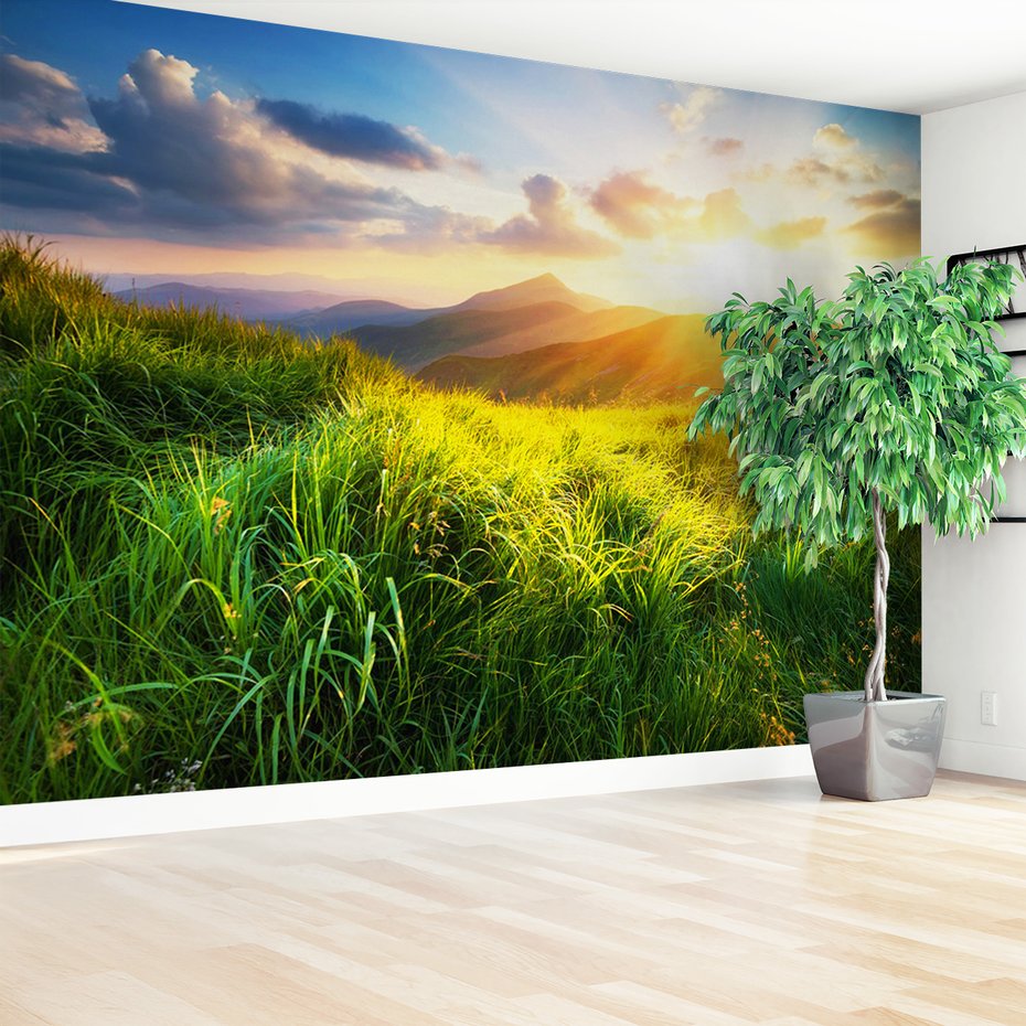 Fototapeta - góry, trawa, słońce