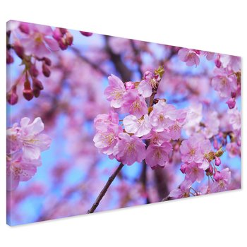 Obraz na płótnie - kwiaty, różowy, wiosna