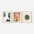 Zestaw obrazy w ramie, plakaty - monstera, liście, roślina - rama drewno