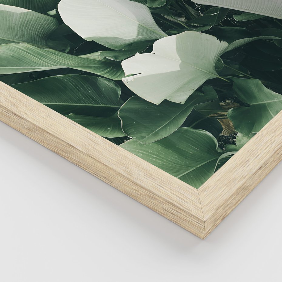 Zestaw obrazy w ramie, plakaty - liście, tropikalne, roślina - rama drewno