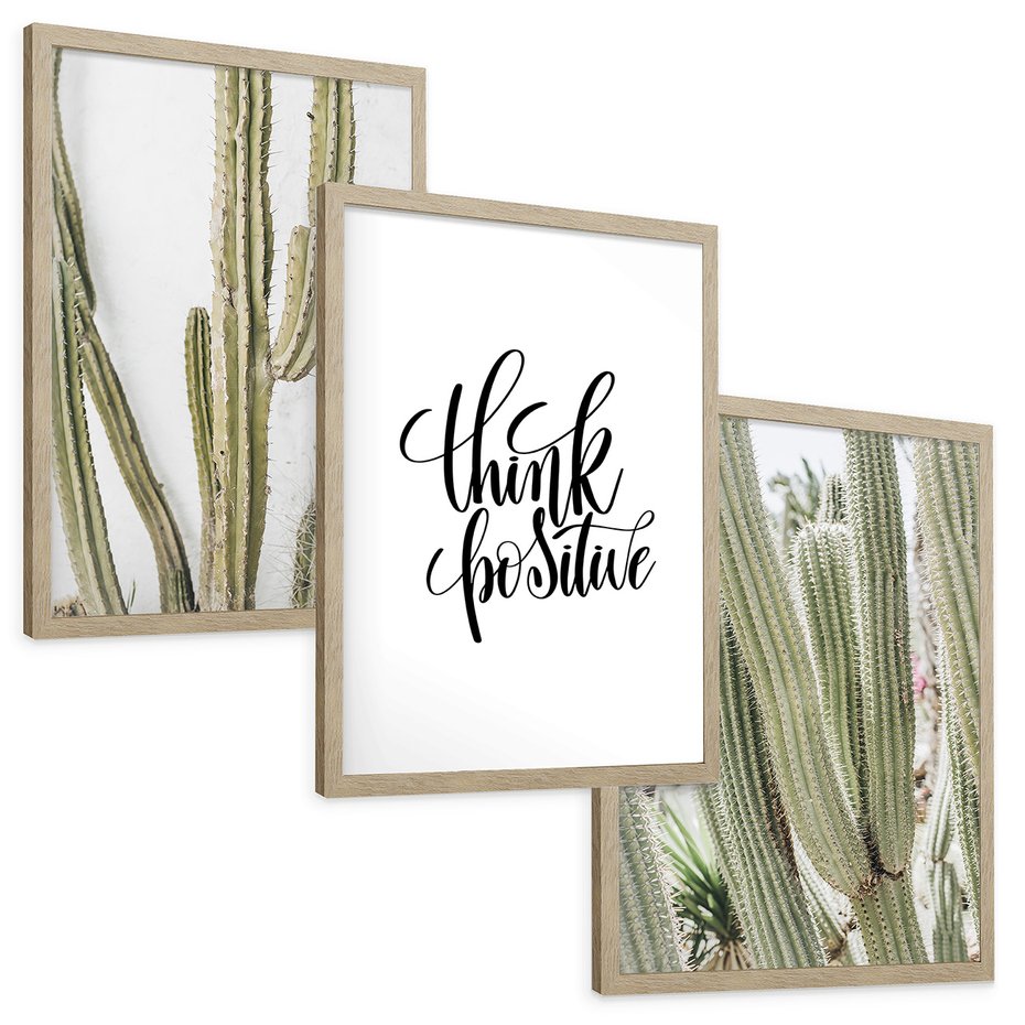 Zestaw obrazy w ramie, plakaty - kaktusy,rośliny,tekst - rama drewno