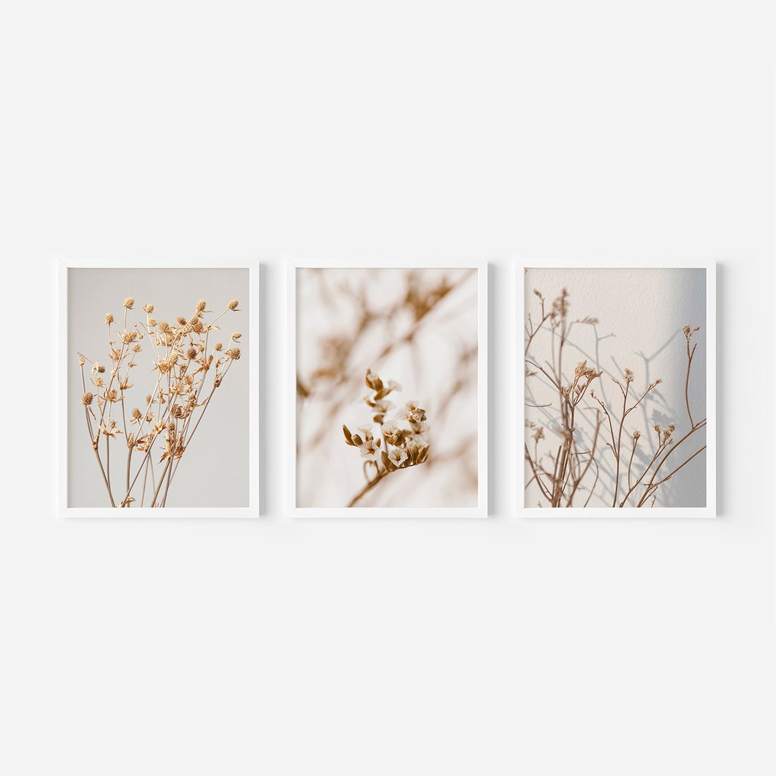 Zestaw obrazy w ramie, plakaty - kwiaty,rośliny,suszone, - rama biała