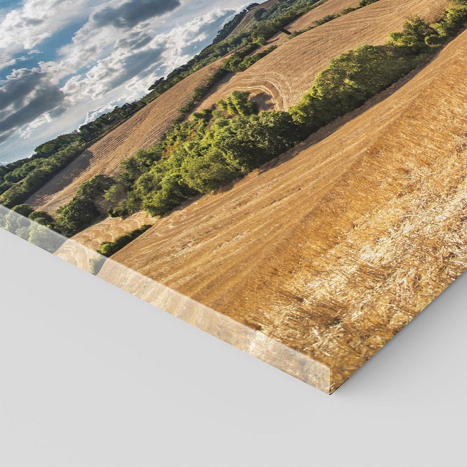 Obraz na płótnie - krajobraz, pola, niebo