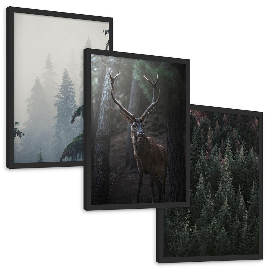 Zestaw obrazy w ramie, plakaty - las, drzewa, jeleń - rama czarna