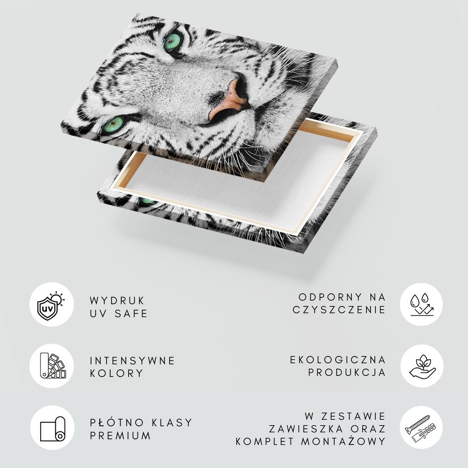 Obraz na płótnie - tygrys, biały, zwierzę