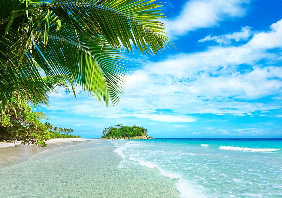 Fototapeta - plaża, morze, palmy