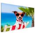 Obraz na płótnie - pies, okulary, plaża