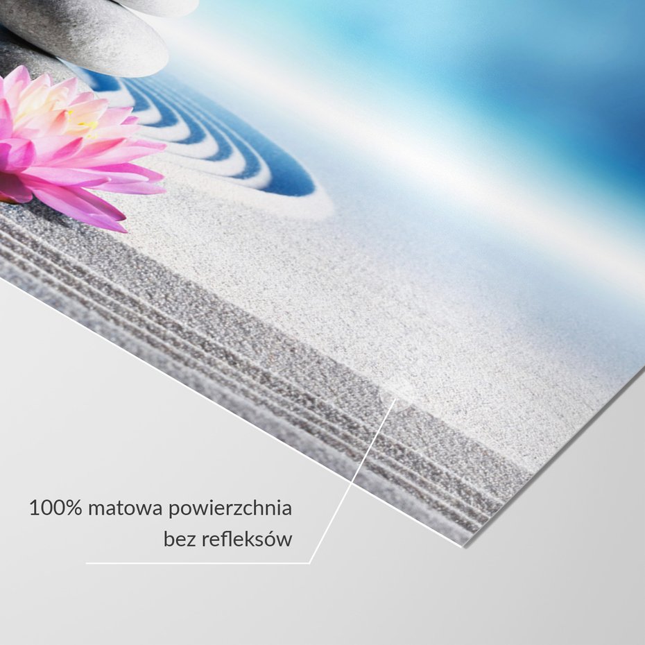 Fototapeta - kamienie, kwiat, zen