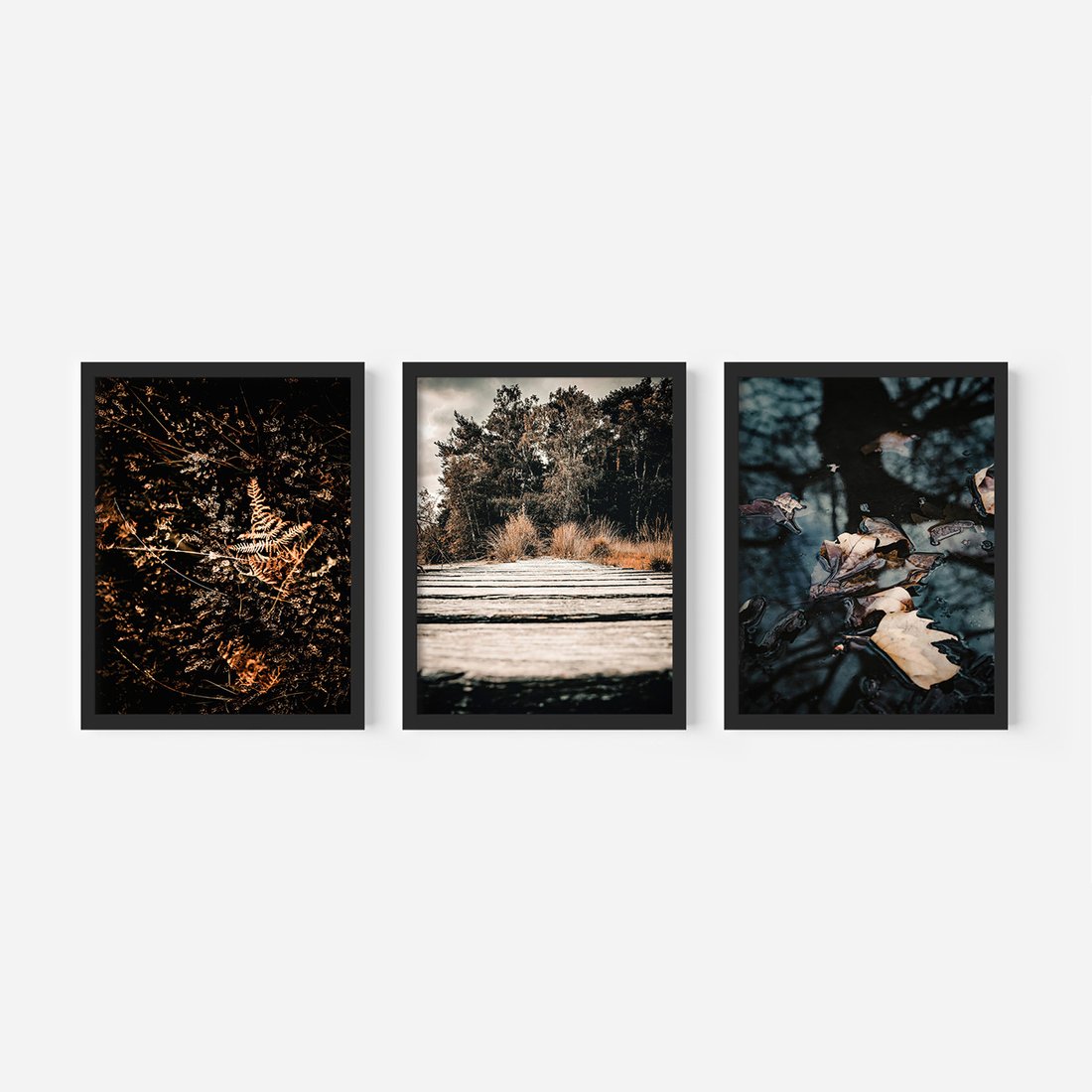 Zestaw obrazy w ramie, plakaty - natura, liście, drzewa - rama czarna