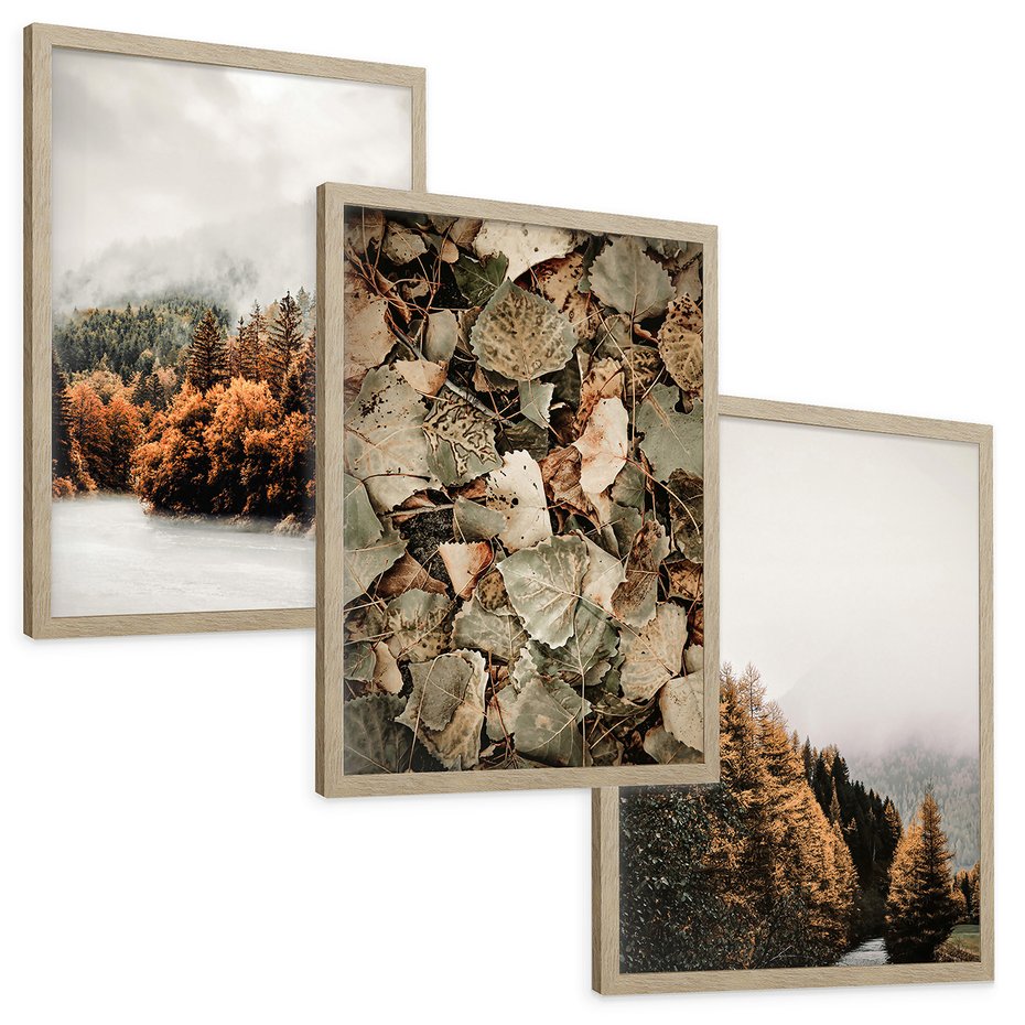 Zestaw obrazy w ramie, plakaty - jesień, las, liście - rama drewno